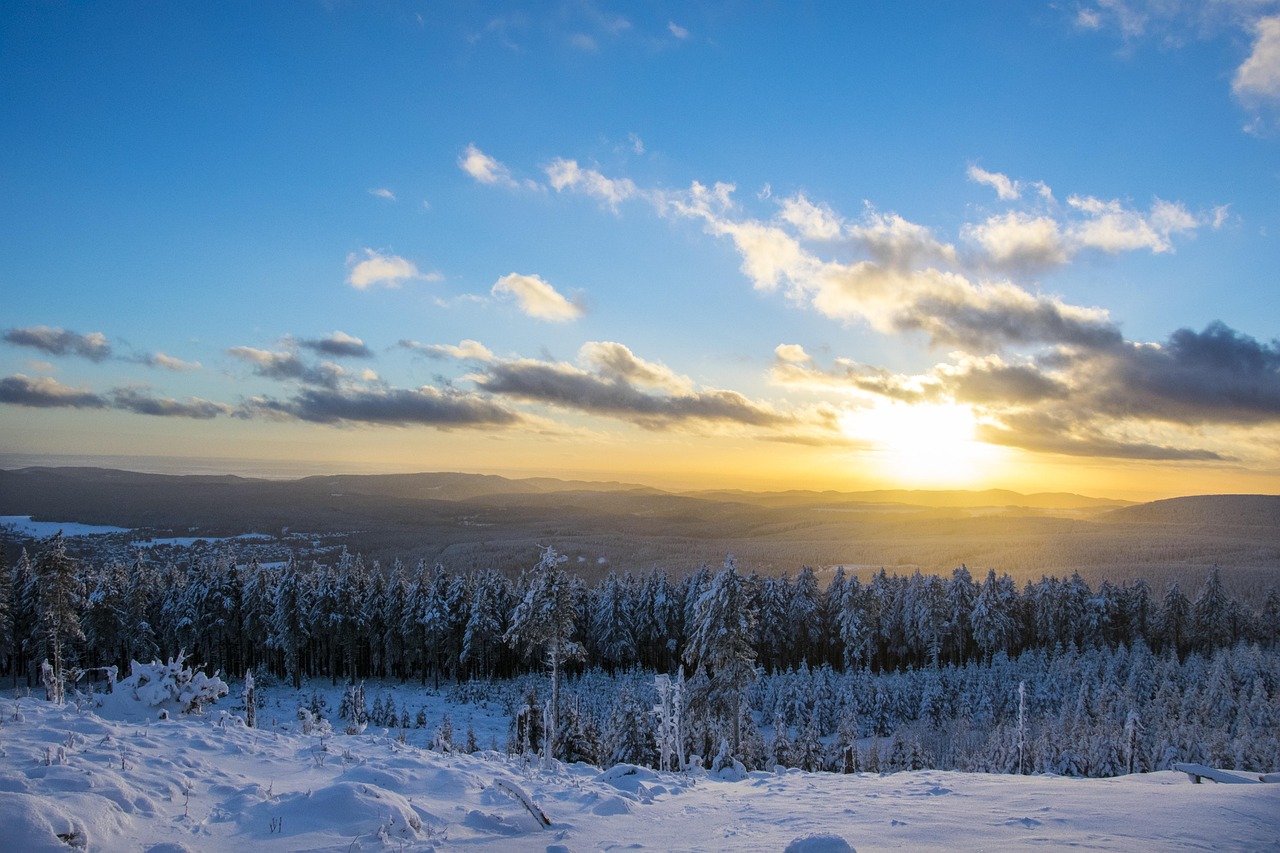 Ferienwohnungen Bergmann - Header