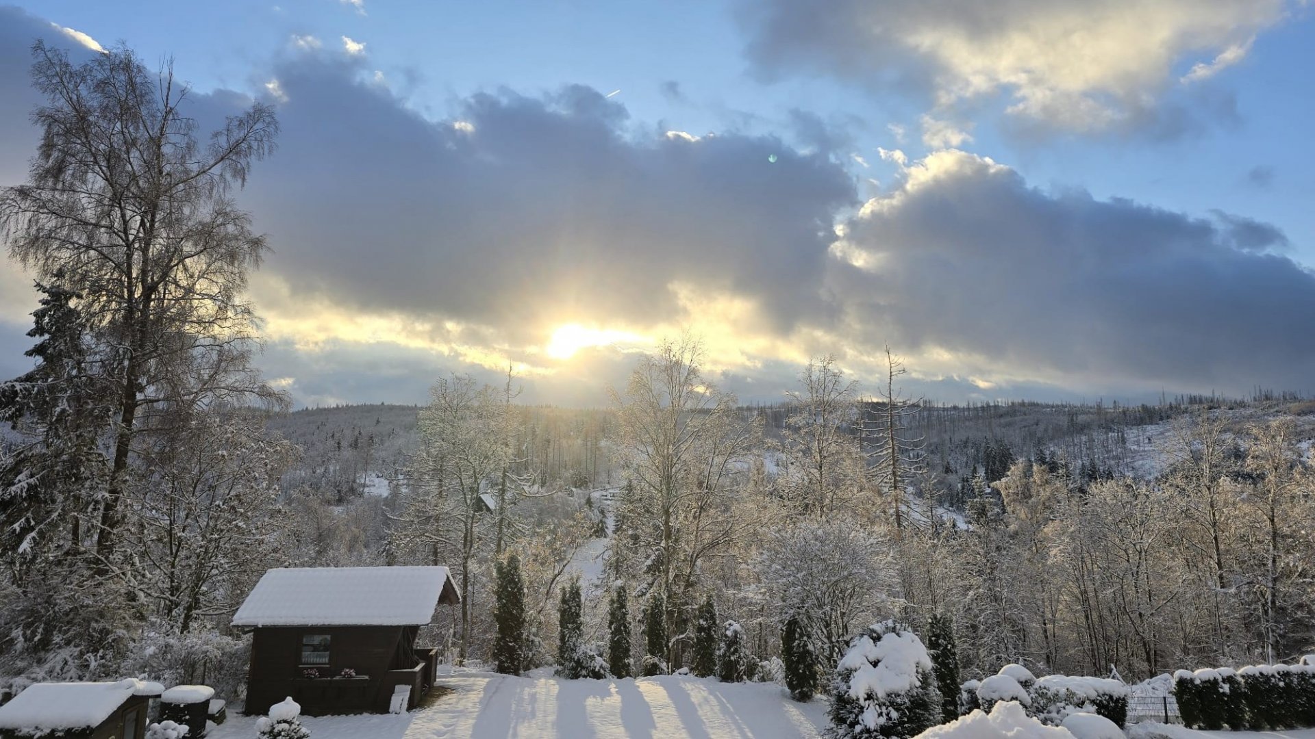 Ferienwohnungen Bergmann - Header