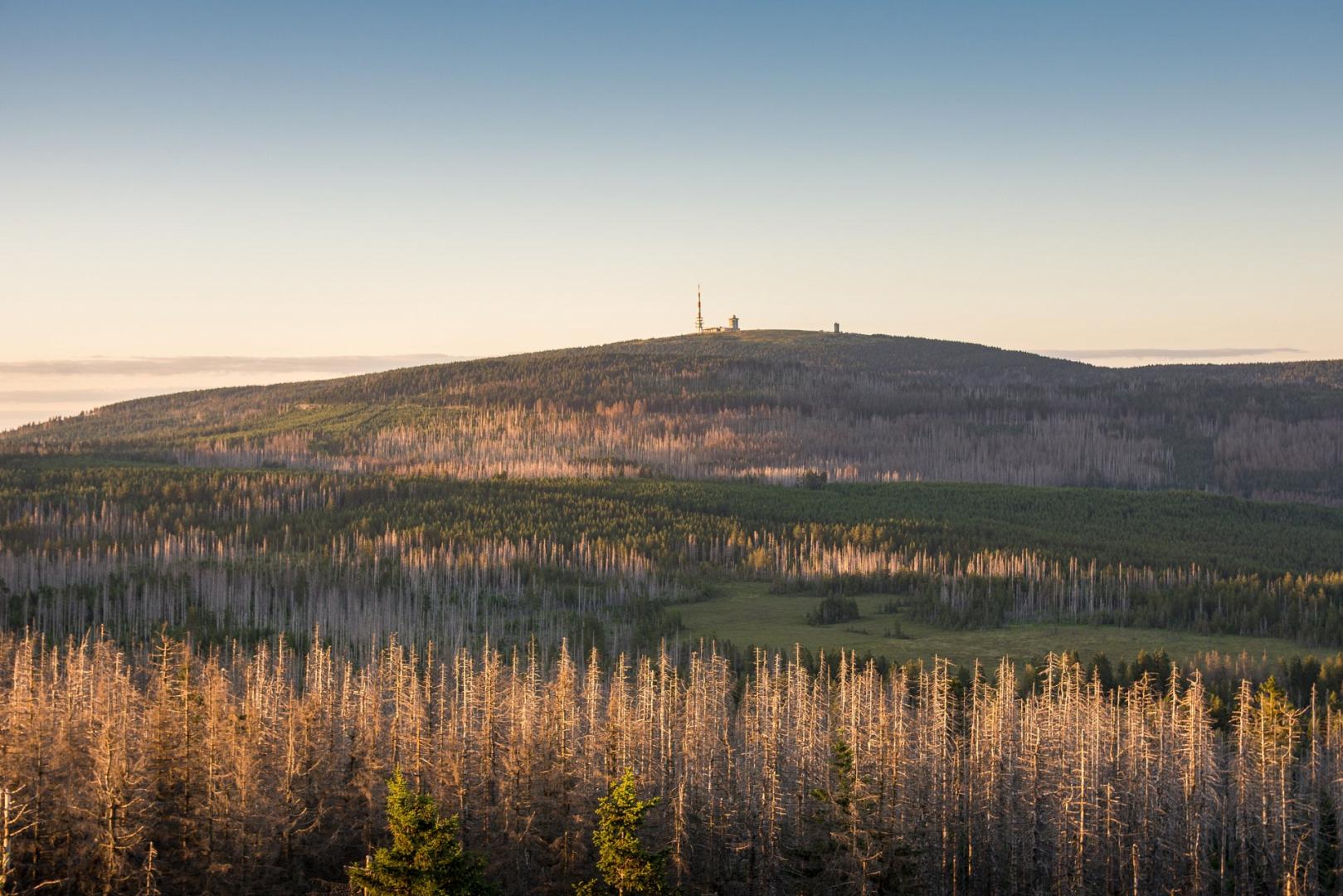 Ferienwohnungen Bergmann - Header